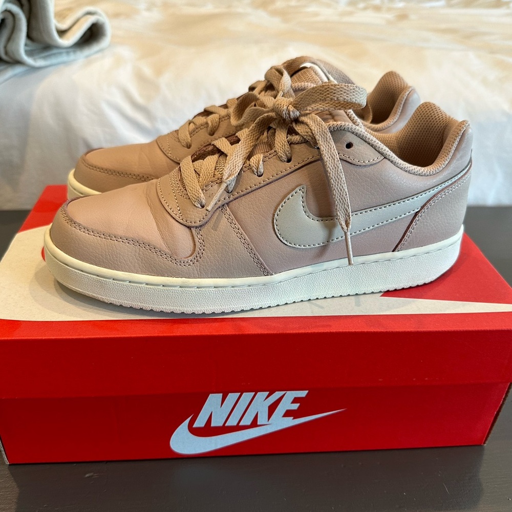 EUC Nike Dunk Low Women’s Sneakers